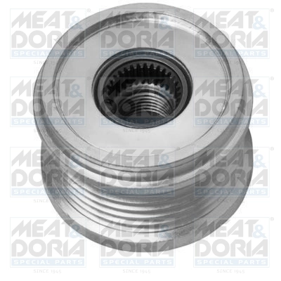 Alternator Freewheel Clutch